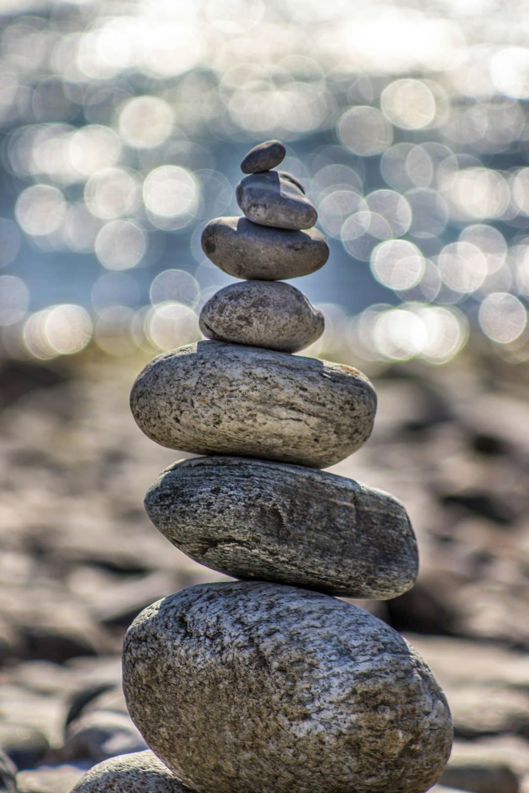 Professional Metaphysical Services